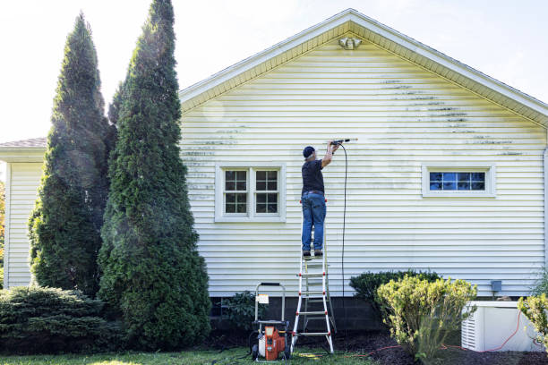 Pre-Holiday Cleaning in Ellaville, GA